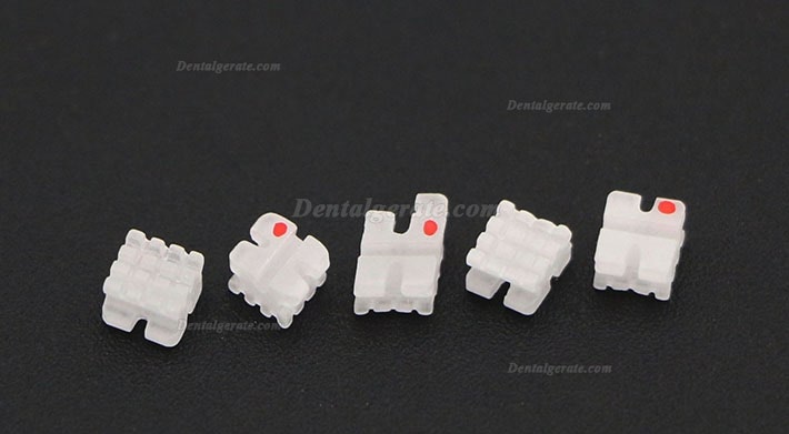5 Packungen/20 St&uuml;cke Dental Kieferorthop&auml;dische Keramik Bracket St&auml;nder ROTH 022 3 Haken
